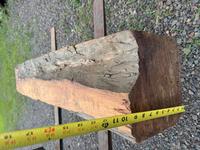 Cocobolo Rosewood (Nicaraguan!) Cant / Log - Extremely RARE!